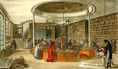 Temple of muses shop