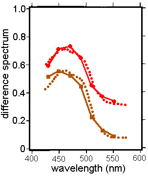 delori6.gif (4093 bytes)