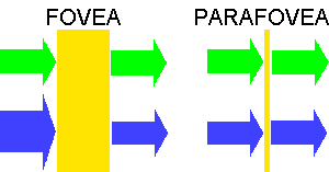 hcfp.gif (4730 bytes)