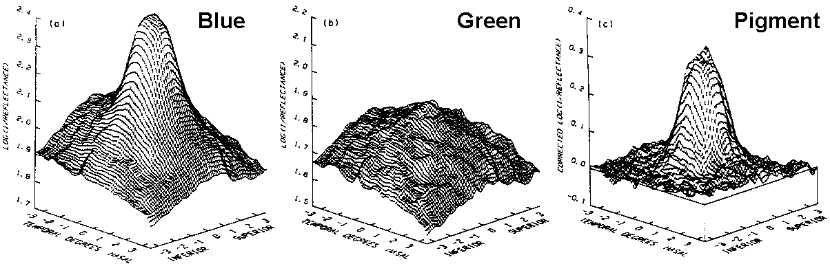 kilbd6m.gif (22082 bytes)