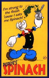 popeye1.jpg (16578 bytes)